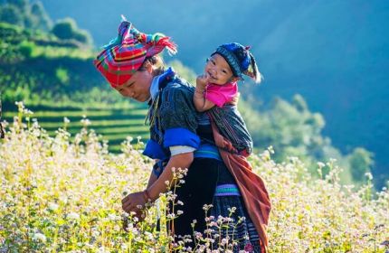 vietnam tours from south africa 3